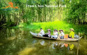 Car rental Ho Chi Minh City to Tram Chim National Park Dong Thap