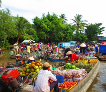 Transfer Ho Chi Minh City to Vinh Long
