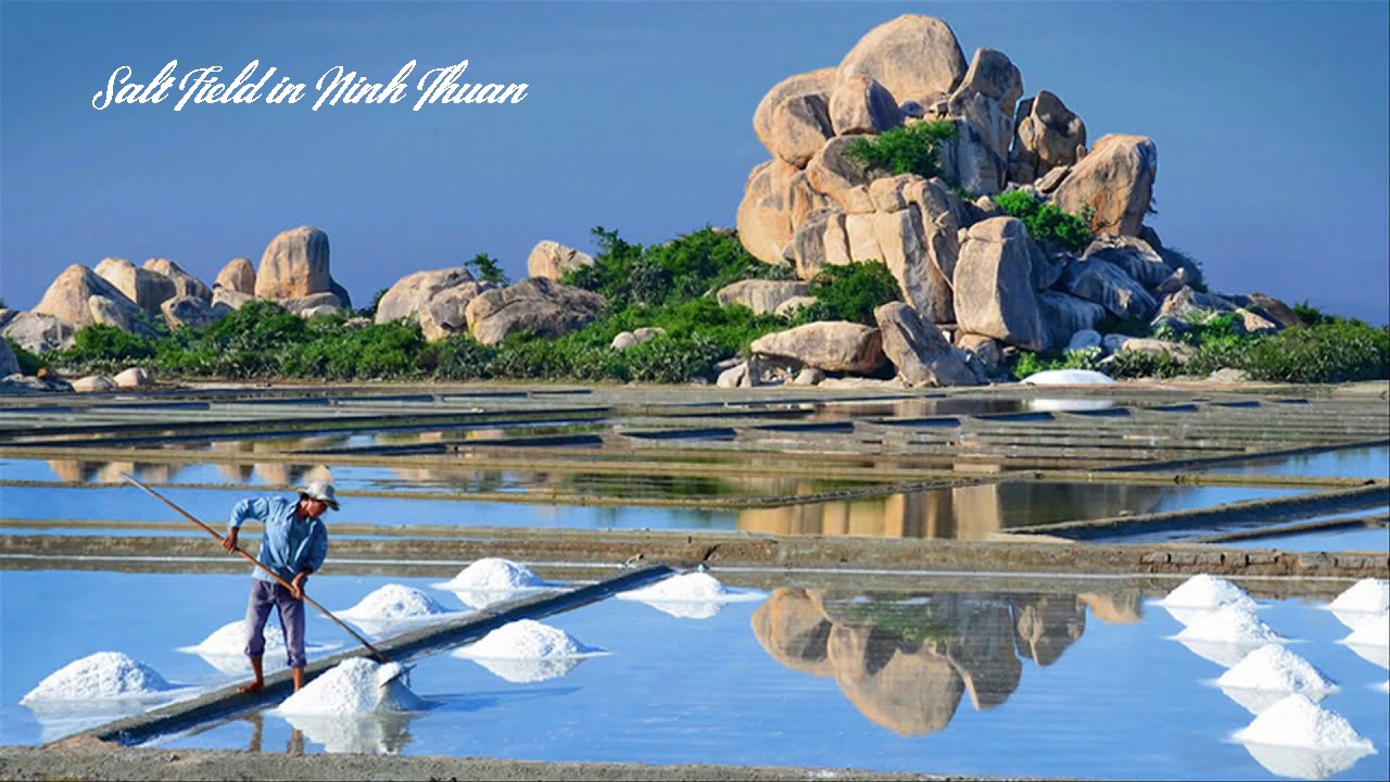 Salt Field in Ninh Thuan